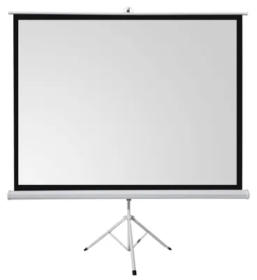 Produktbild von celexon basic Stativ-Leinwand 110" | 200x200 cm 1:1 | mobile transportable 4K, Full-HD Leinwand | Beamerleinwand mit Stativ für Heimkino- und Büropräsentationen | Blitzschneller Aufbau in 3 Schritten