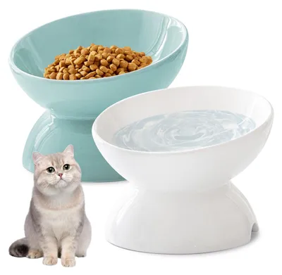 Erhöhte Keramik-Näpfe für Katzen, 2er-Set, 15° Neigung, Antirutsch