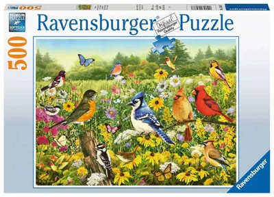 Obrázek produktu pro Ptačí louka Ravensburger 16988