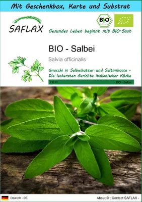 Produktbild von SAFLAX Geschenk Set - BIO - Salbei - Salvia officinalis - 60 Samen - Mit Geschenkbox, Versandaufkleber, Geschenkkarte und Anzuchtsubstrat