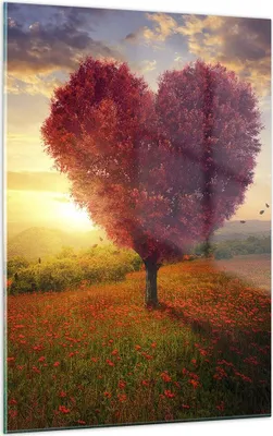 Produktbild von Bilder auf glas - Einteilig - Baum Wiese Blume - 50x70cm - Glasbilder - Wandbilder - Bilder - zum Aufhängen bereit - Wanddekoration aus Glas - Glas Bilder - Wandbild auf Glas - GPA50x70-3790