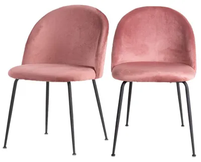 2er Set Samt-Esszimmerstühle mit Metallbeinen, rosa