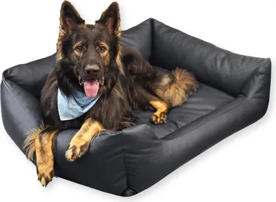 Produktbild von 4L Textil MARIO Hundebett Kunstleder schwarz Hundebett grosse Hunde Kunstleder Hundekörbchen Kunstleder Hundekorb aus Kunstleder 120x90 cm