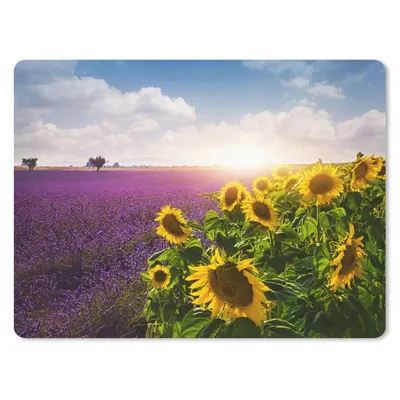 Obrázek produktu pro Podložka pod myš - Slunečnice vedle levandulového pole - 40x30cm - Podložka pod myš