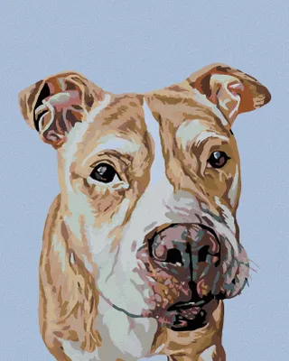 Produktbild von Zuty - Malen nach Zahlen - BRAUNER STAFFORD, 40x50 cm, mit Keilrahmen (bereits gespannt)
