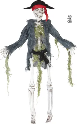 Image de SKELETT PIRAT 42 cm