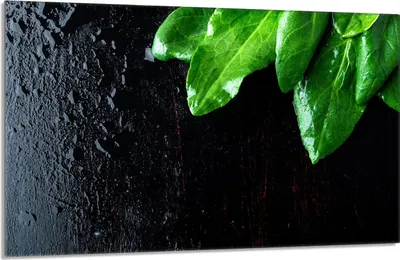 Produktbild von Herdabdeckplatte 80x52cm 1-teilig Glaskeramikkochfeld-Abdeckung Spritzschutz, Basilikum Laub