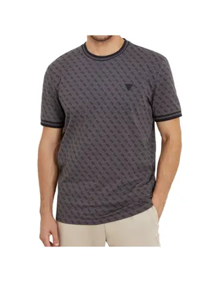 Image de Essential Guess