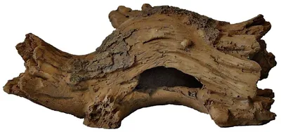 Produktbild von Log Wood S Aquarien