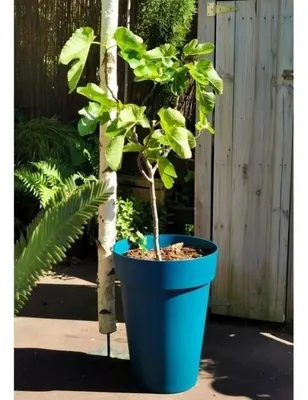 Obrázek produktu pro RIVIERA SOLEILLA Blumenkasten - Kunststoff - Höhe 53 cm - Blau