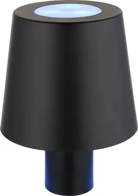 Produktbild von RGB LED Tischleuchte, Flaschenlampe, Touch, Akku, H 14 cm