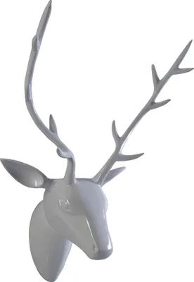 Produktbild von Deko Geweih Hirschkopf 'weiß' (Größe: L) - Wandfigur, Wanddeko, Hirschgeweih, Hirschkopf, Geweih und Skulptur