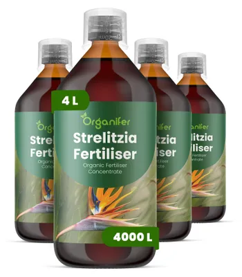 Produktbild von Strelitzien Flüssigdünger 4x1L – 2-1-8 NPK – Flüssig-Pflanzendünger für Strelitzien – Organifer