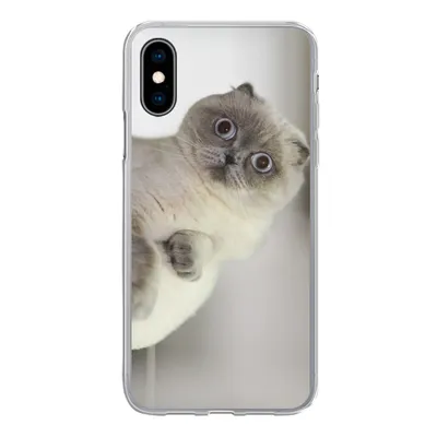 Produktbild von MuchoWow® Handyhülle Schutzhülle Hülle für iPhone X Katze - Tier - Wohnzimmer Silikon Softcase Handy Hülle - Handyhülle