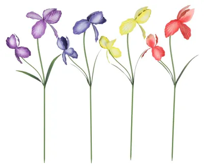 Produktbild von Flamingo Gartenstecker Iris Metall 27 x 96 cm mehrfarbig