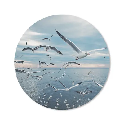 Produktbild von MuchoWow® Mauspad Mousepad Vogel - Meer - Schwarm 30x30 cm - Mousepads - Maus Mat - Pad - Mausunterlage - Tischunterlage - Schreibtischmatten