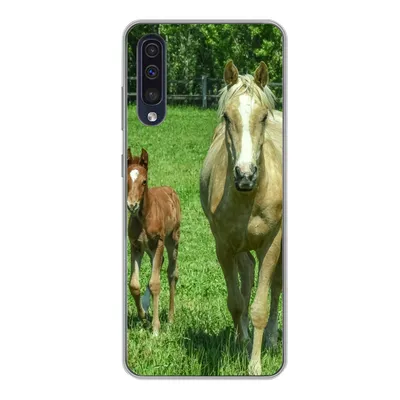 Produktbild von MuchoWow® Handyhülle Schutzhülle Hülle für Samsung Galaxy A50 Pferd - Fohlen - Tiere Silikon Softcase Handy Hülle - Mobiltelefonhülle