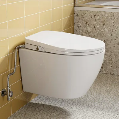 Productafbeelding van HOROW Hangtoilet met douchewc-deksel. Douchewc met bidetfunctie - achterstraal en damesstraal. Werkt zonder elektriciteit