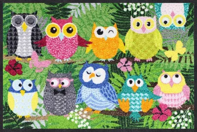 Produktbild von Salonloewe DSCHUNGELEULEN Fußmatte Wohnmatte 50 x 75 cm
