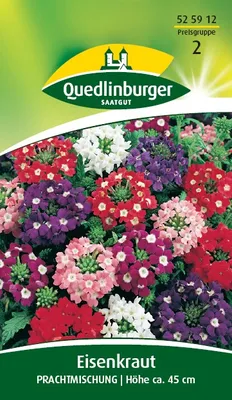 Produktbild von Quedlinburger Saatgut - Eisenkraut - Samen - 525912
