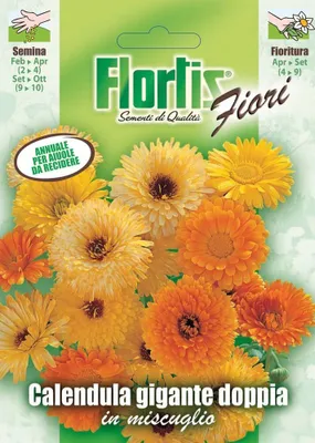 Produktbild von Doppelte Riesenringelblume Mischung | Ringelblumensamen von Flortis