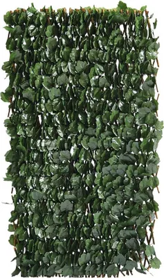 Produktbild von Weidenspalier-Zaun "Fragon" - 200 x 100 cm - Grün