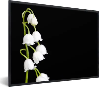 Produktbild von MuchoWow® Gerahmtes Poster Maiglöckchen - Blumen - Schwarz - Flora 80x60 cm - Poster mit Schwarzem Bilderrahmen Wandposter Rahmen Foto Bilder - Schwarzem - Mit Gestell
