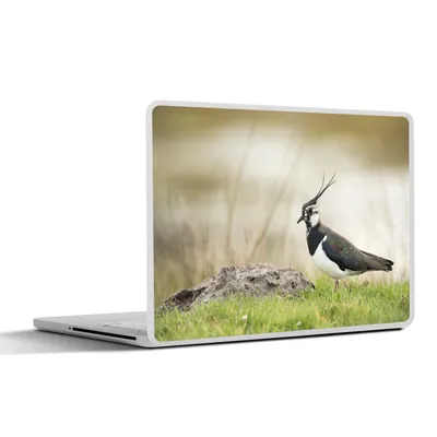 Produktbild von MuchoWow® Laptop Aufkleber Sticker Cover Vogel - Gras - Tiere - Natur - Kiebitz 30x21 cm - Sticker für Laptop - Selbstklebend