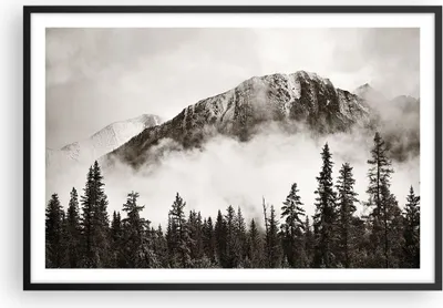 Produktbild von Gerahmtes Poster - Schwarzer Rahmen - Nebel Berg Wald - 91,5x61 cm - Wand Bild - Wanddeko - Wandbilder - Kunstposter - Wandposter - Bilderrahmen - Bilder - Kunstdruck Wanddekoration - P2BAA91x61-4936
