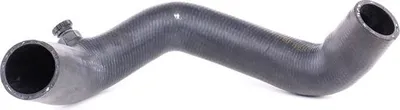 Produktbild von SASIC Kühlerschlauch Wasserschlauch für RENAULT TWINGO I (C06) SWH4285