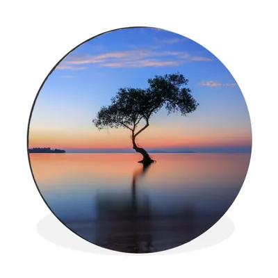 Produktbild von MuchoWow® Aluminium Wandkreis Baum im Wasser Ø 30 cm Wanddeko Modern Wohnzimmer - Wand Bild - Wohnzimmer - Runde Bilder - Alubilder - Kunst für zu Hause - Aluminium - Wanddekoration