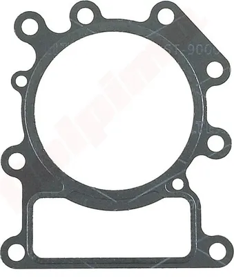 Immagine prodotto di Guarnizione della testa per Briggs & Stratton ( 794114 )