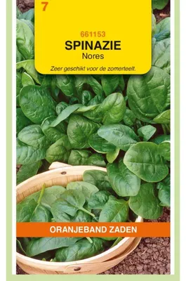 Imagen del producto de Oranjeband, espinacas, 250g - 1 paquete de semillas