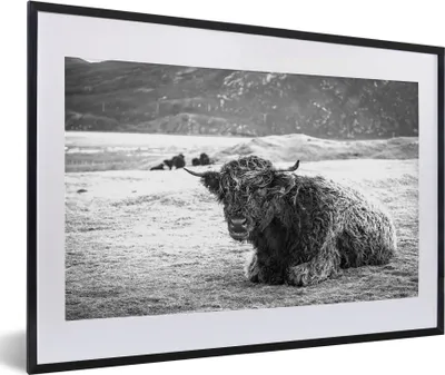 Produktbild von MuchoWow® MuchoWow® Gerahmtes Poster Schottisches Hochlandrind - Berg - Tiere 60x40 cm - Poster mit zchwarzem Bilderrahmen - Schlafzimmer - Plakat in Rahmen - Drucken