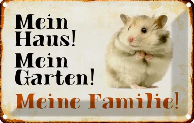 Produktbild von vianmo Blechschild 20x30 cm Tiere Hamster mein Haus Garten Familie Tier Haustier