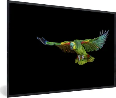 Produktbild von MuchoWow® Gerahmtes Poster Papagei - Vogel - Federn 90x60 cm - Poster mit Schwarzem Bilderrahmen Wandposter Rahmen Foto Bilder - Fotorahmen - Foto-Plakat