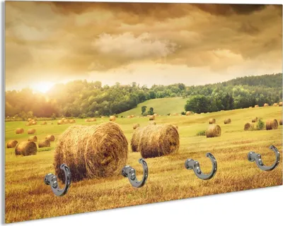 Produktbild von Wallario Schlüsselbrett aus Glas, Motiv: Strohballen auf dem Feld bei Sonnenuntergang, 30 x 20 cm mit 4 Haken