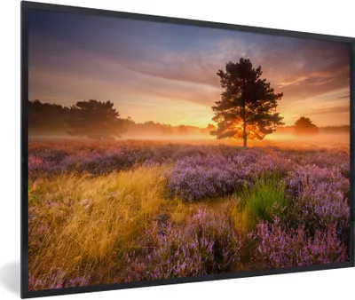 Produktbild von MuchoWow® Gerahmtes Poster Heidelandschaft mit einem Baum 90x60 cm - Poster mit Schwarzem Bilderrahmen Wandposter Rahmen Foto Bilder - Fotorahmen - Foto-Plakat