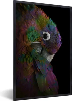 Produktbild von MuchoWow® Gerahmtes Poster Papagei - Vogel - Regenbogen 20x30 cm - Poster mit Schwarzem Bilderrahmen Wandposter Rahmen Foto Bilder - Drucken - Bilder Poster im Rahmen