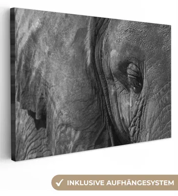 Produktbild von OneMillionCanvasses® - Leinwandbilder - 140x90 cm, Elefant - Tiere - Nahaufnahme - Schwarz-Weiß, Wandbilder Kunstdruck Wanddekoration