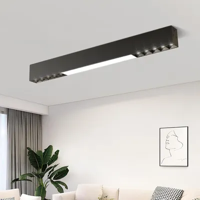 Obrázek produktu pro ZMH stropní svítidlo LED stropní světlo černé 53CM dlouhé stropní reflektor kuchyň 17W stmívatelné s dálkovým ovládáním moderní pro kancelář obývací pokoj ložnice kuchyň