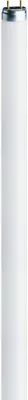 Produktbild von Osram Lumilux T5 Short, 8 W, G5, T5, 10000 h, 430 lm, Kaltweiße