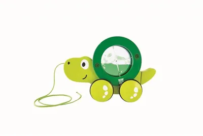 Produktbild von Hape - Nachziehschildkröte Tito