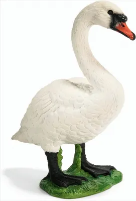 Produktbild von SCHLEICH 13656 - Bauernhof, Höckerschwännin
