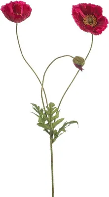 Produktbild von artplants.de Kunst Zweig Mohnblume SCHUNRA, pink, 75cm - Deko Mohnblumenzweig
