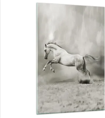 Produktbild von Bilder auf glas - Einteilig - Pferd Tier - 80x120cm - Glasbilder - Wandbilder - Bilder - Kunstdruck - zum Aufhängen bereit - Wanddekoration aus Glas - Glas Bilder - Wandbild auf Glas - GPA80x120-3542