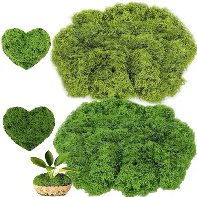 Produktbild von 200 g künstliches Moos zur Dekoration, künstliches Moos, 100 g dunkelgrün + 100 g hellgrün, für Wanddekoration, Krippen, Aquarien und Modellbau, künstliches Moos zum Basteln