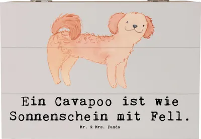 Produktbild von Mr. & Mrs. Panda Schatulle Cavapoo Sonnenschein 22 x 15 cm - Grau Pastell - Geschenk, treuer Begleiter, Holztruhe, Hunderasse, fotobox, Hundeliebhaber, Geschenkbox, Box