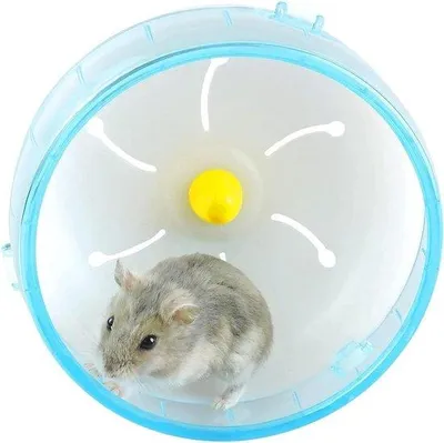 Image de Chariot d'entraînement Hamster Bleu Grand pour petits chiens