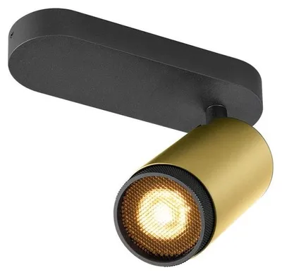 Productafbeelding van Opbouwspot Grip! L goud met zwarte ring
